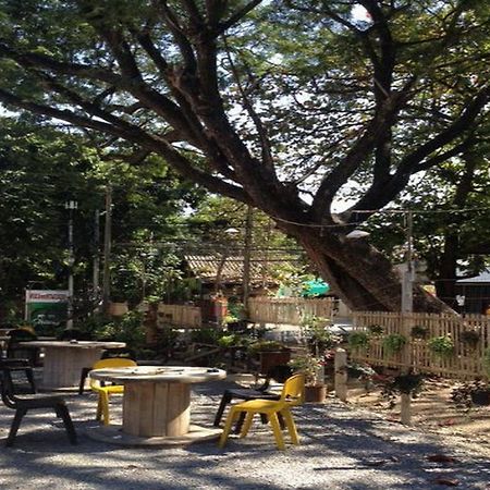 Viva Shack Hostel เชียงใหม่ ภายนอก รูปภาพ