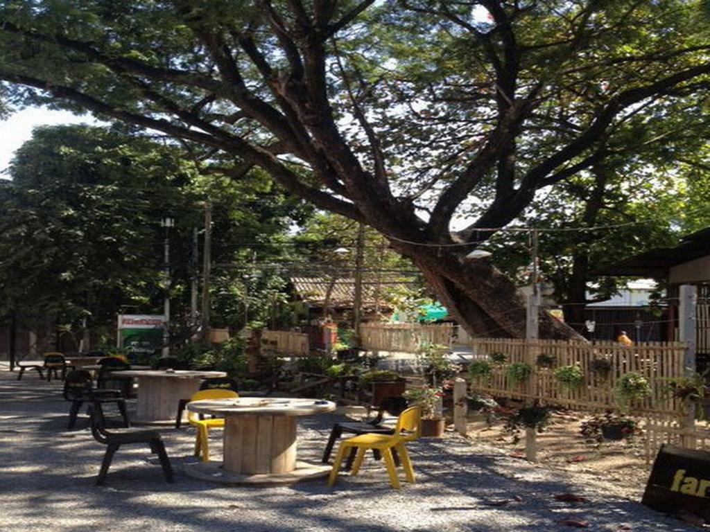 Viva Shack Hostel เชียงใหม่ ภายนอก รูปภาพ